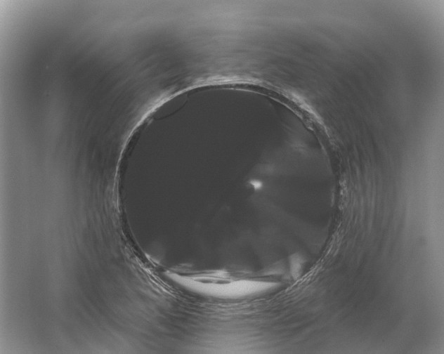 X0000066121173200603241602