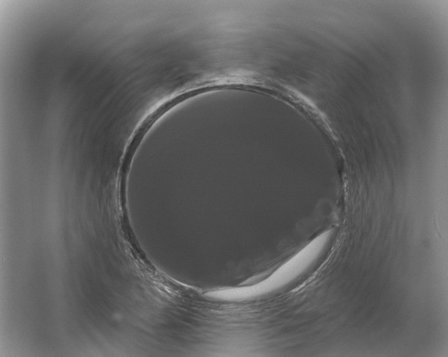 X0000066121174200603241602