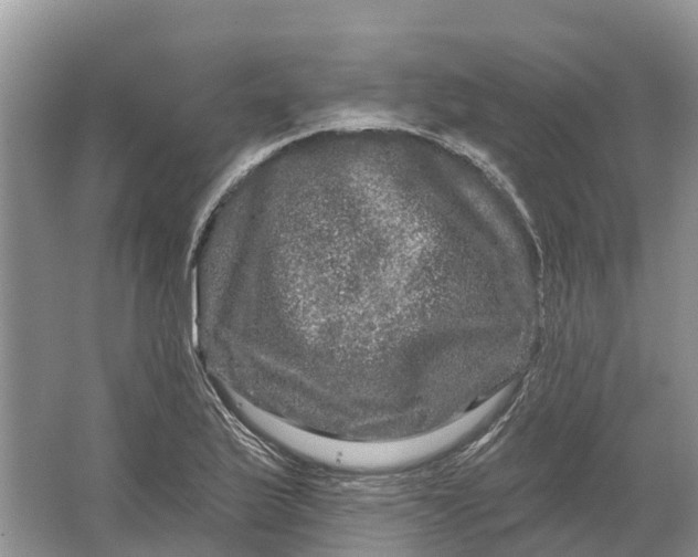 X0000066121175200603241602