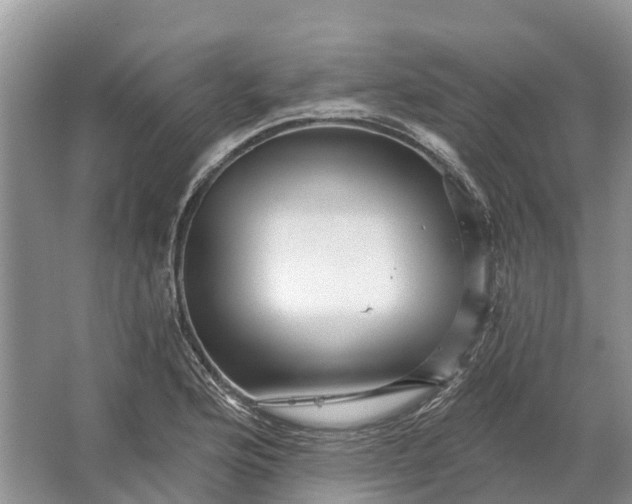 X0000066121176200603241602