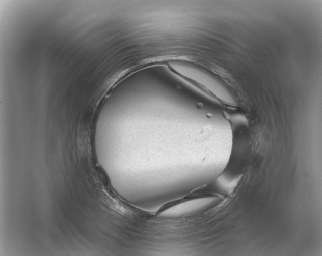 X0000066121177200603241602