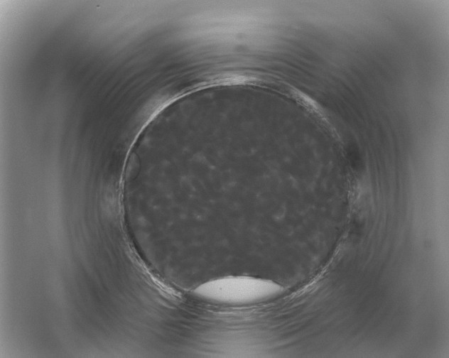 X0000066121178200603241602