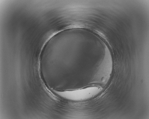 X0000066121179200603241602