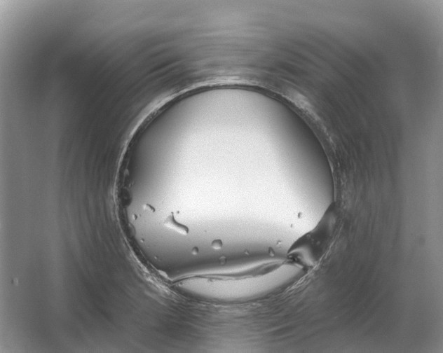 X0000066121181200603241602