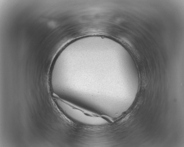 X0000066121182200603241602