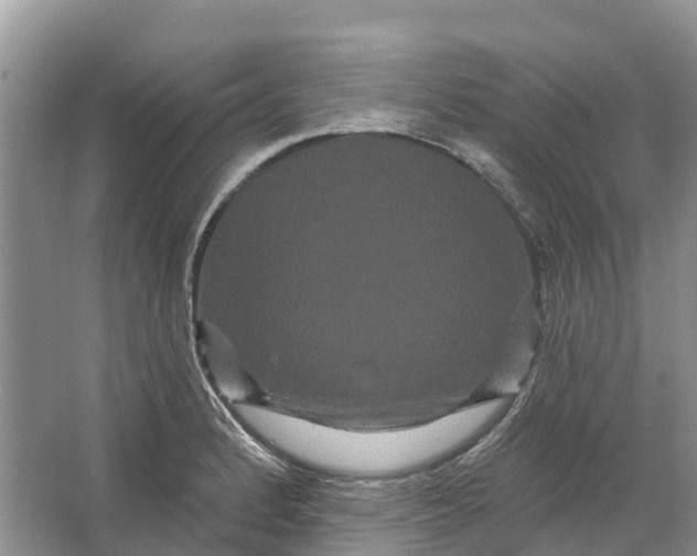 X0000066121184200603241602