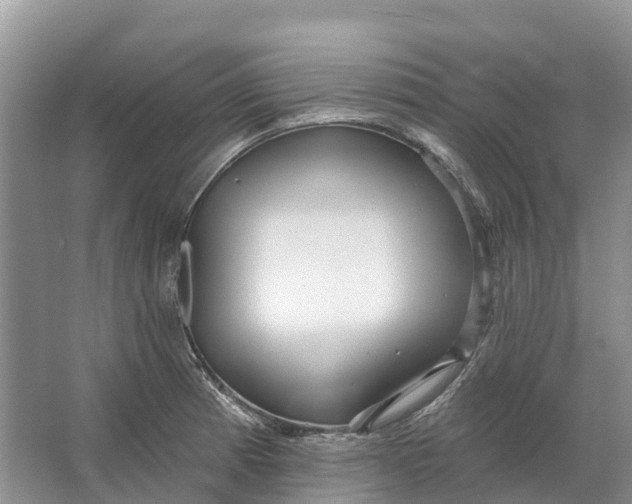 X0000066121185200603241602