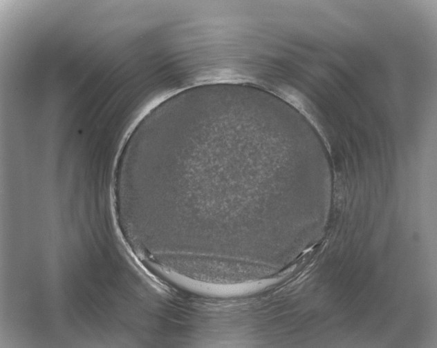 X0000066121187200603241602