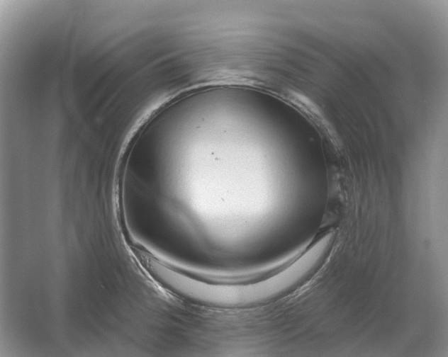 X0000066121188200603241602