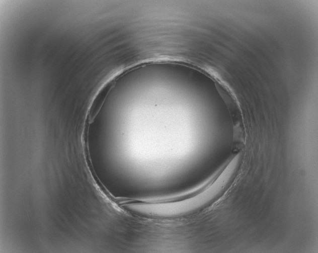 X0000066121189200603241602