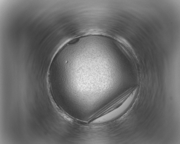 X0000066121190200603241602