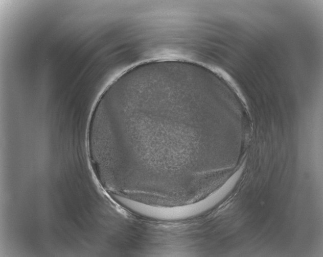 X0000066121191200603241602