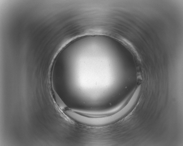 X0000066121192200603241602