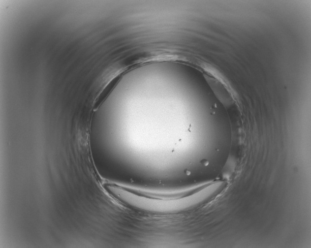 X0000066121193200603241602