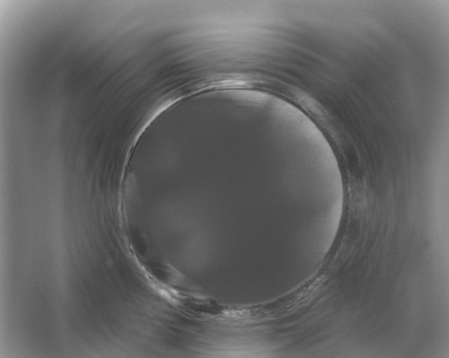 X0000066121194200603241602