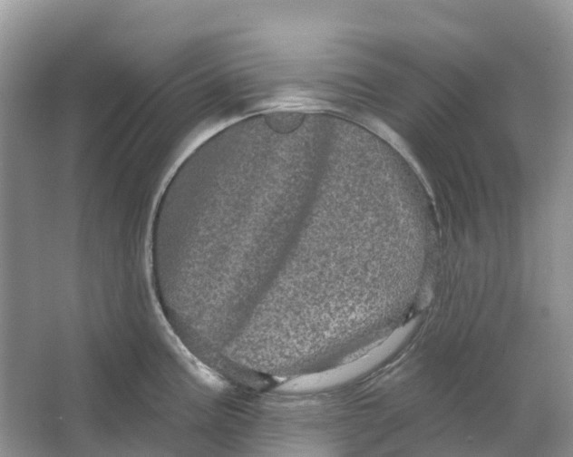 X0000066121195200603241602