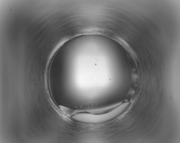 X0000066121196200603241602