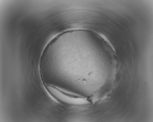 X0000066121197200603241602