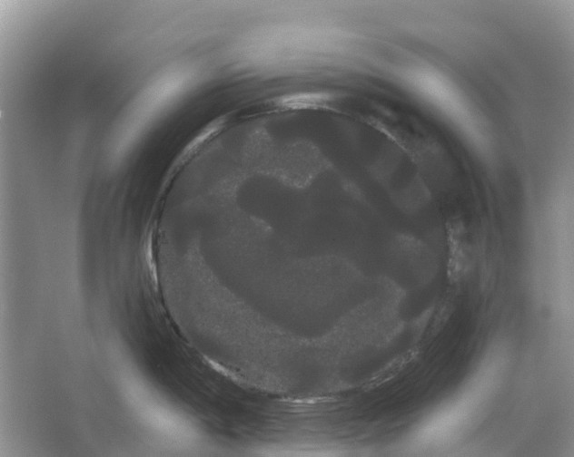 X0000066121198200603241602