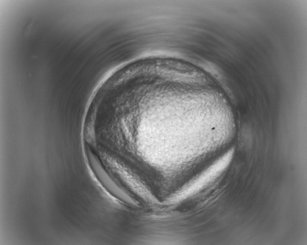 X0000066121199200603241602