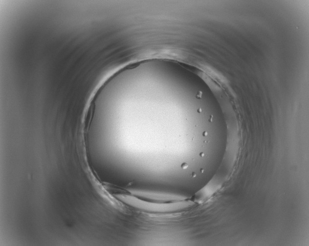 X0000066121200200603241602