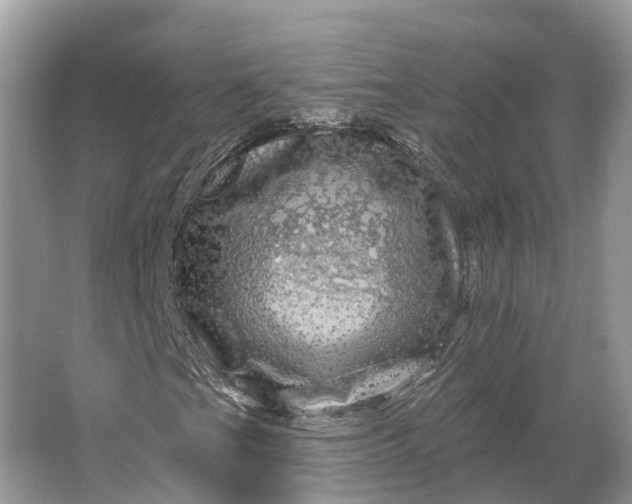 X0000066121201200603241601