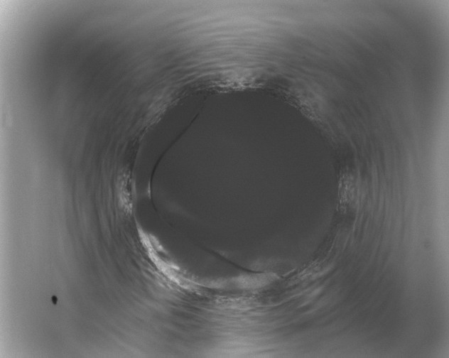 X0000066121202200603241601