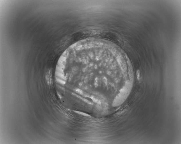 X0000066121203200603241601