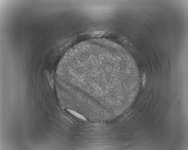 X0000066121204200603241601