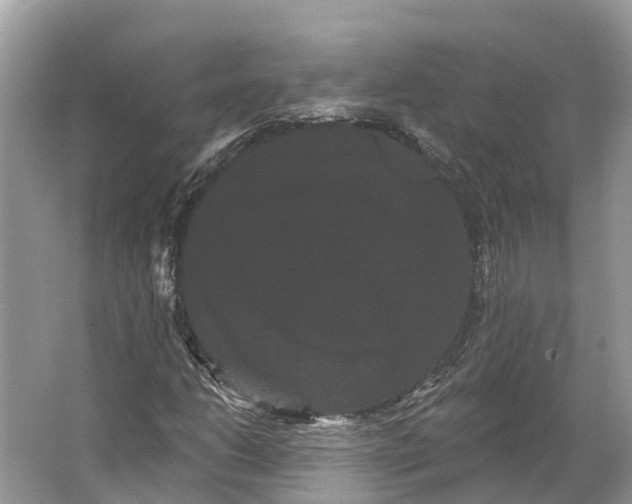 X0000066121206200603241601