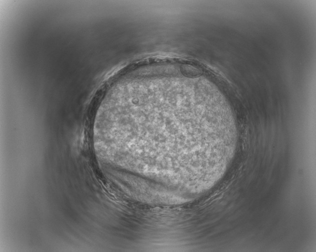 X0000066121207200603241601