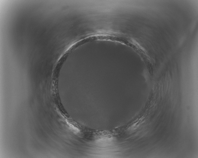 X0000066121208200603241601