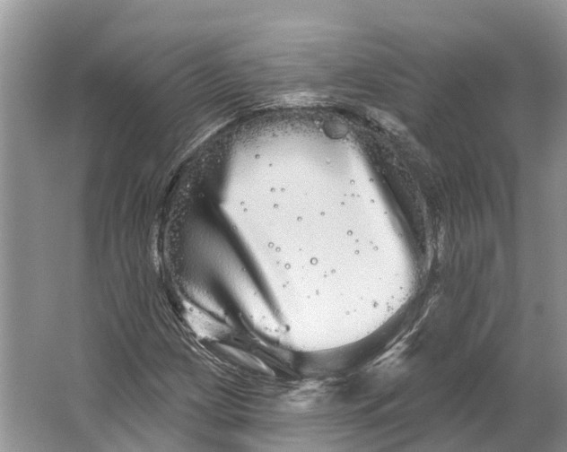 X0000066121209200603241601