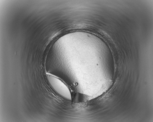 X0000066121210200603241601