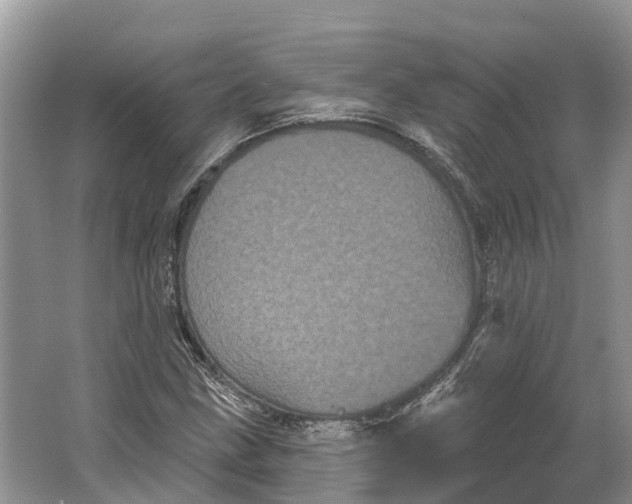 X0000066121211200603241601