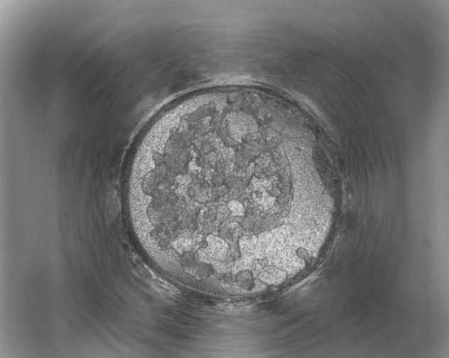 X0000066121212200603241601