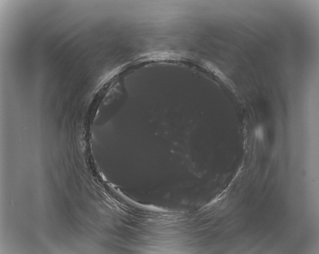 X0000066121213200603241601