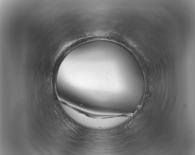 X0000066121214200603241601