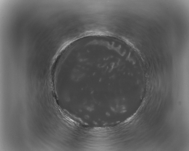 X0000066121215200603241601