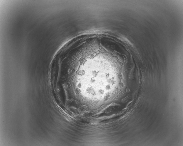 X0000066121216200603241601