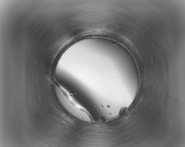 X0000066121218200603241601