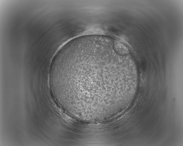 X0000066121220200603241601