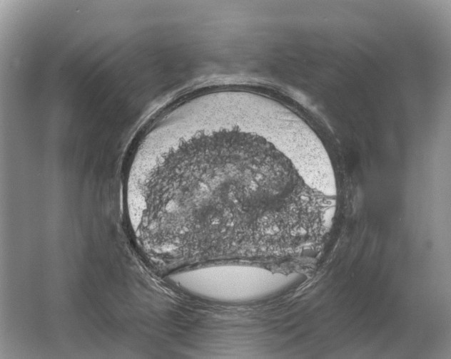 X0000066121221200603241601