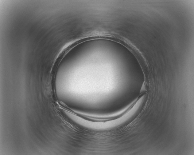 X0000066121222200603241601