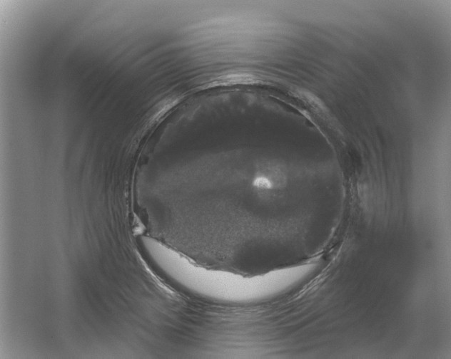 X0000066121225200603241601