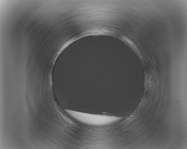 X0000066121226200603241601