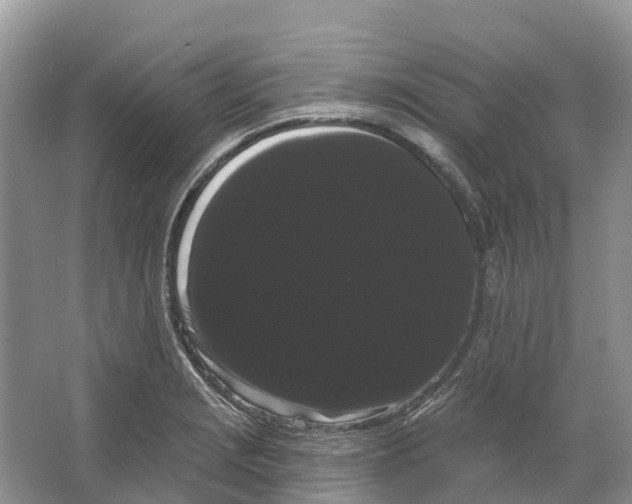 X0000066121229200603241601