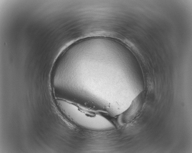 X0000066121230200603241601