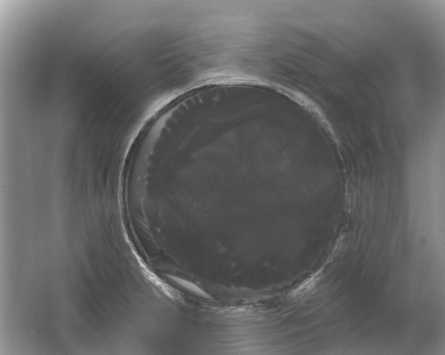 X0000066121231200603241601