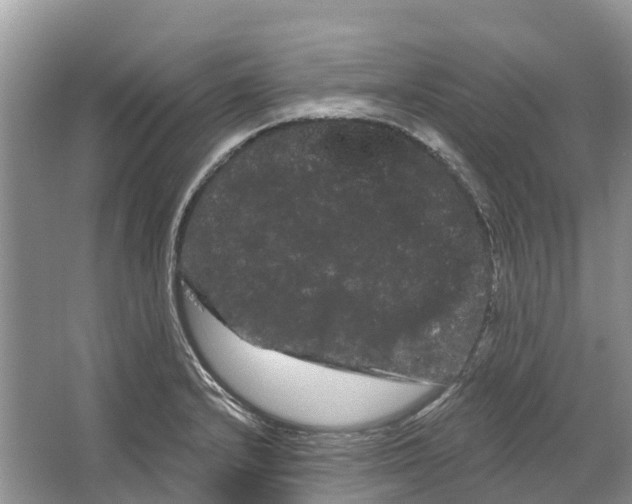 X0000066121232200603241601